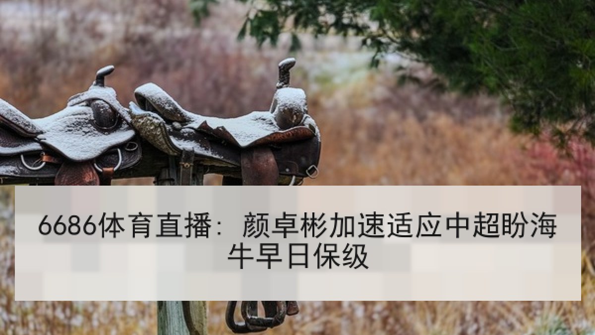6686体育直播: 颜卓彬加速适应中超盼海牛早日保级