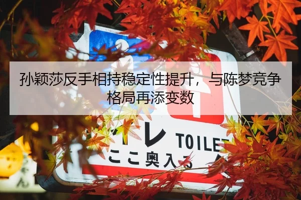 孙颖莎反手相持稳定性提升，与陈梦竞争格局再添变数